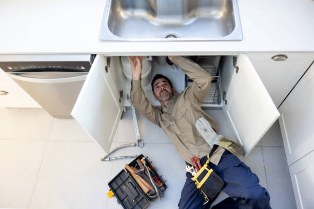 Best Affordable Plumbing Services  in Wacousta, MI