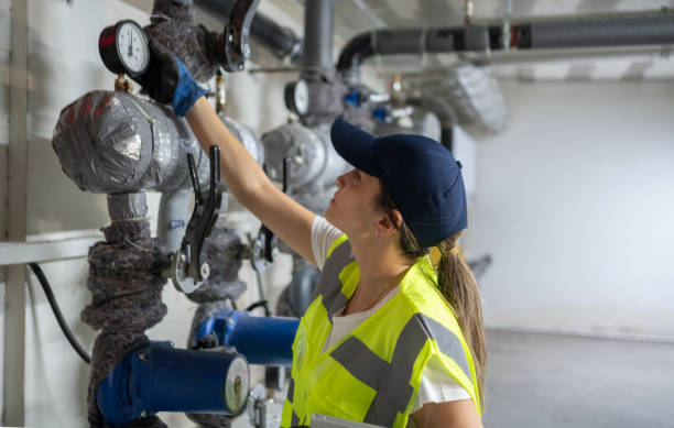 Best Plumbing Services Near Me  in Wacousta, MI