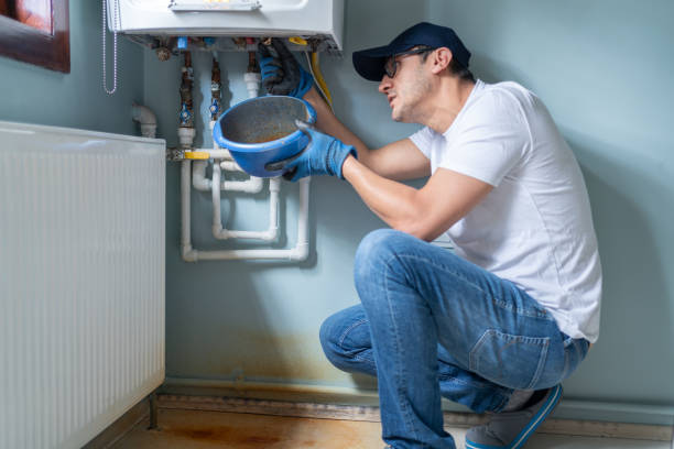 Best Plumbing Services Near Me  in Wacousta, MI