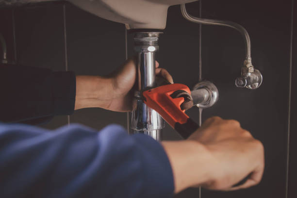Professional Plumbing in Wacousta, MI