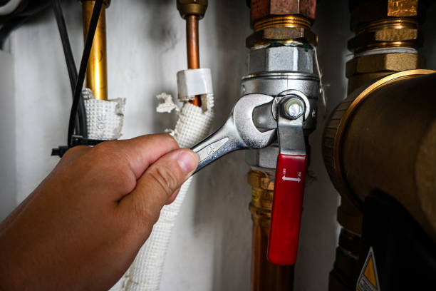 Best Residential Plumbing Services  in Wacousta, MI